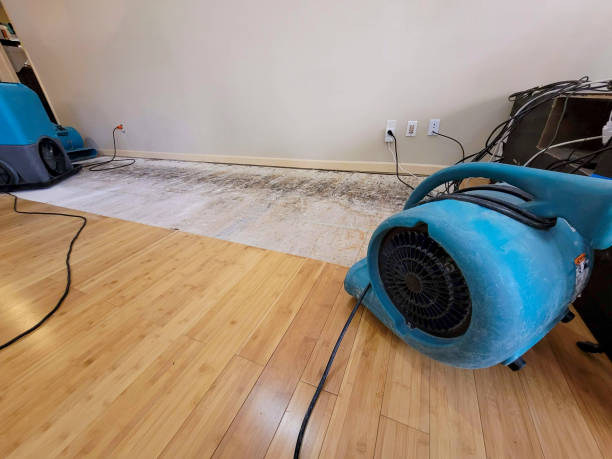 Professional Water Damage Repair technician working in Amanda Park, WA